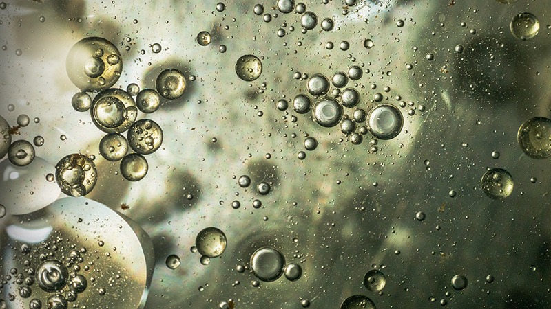 Bubbles in a viscous liquid.