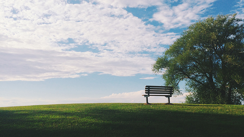A bench sitting in a green expanse of grass with cloud spun blue skies.