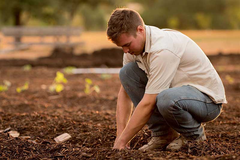 A man, working the soil in a planting plot.