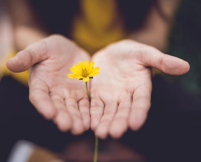 Woman with two hands together around a yellow flower
